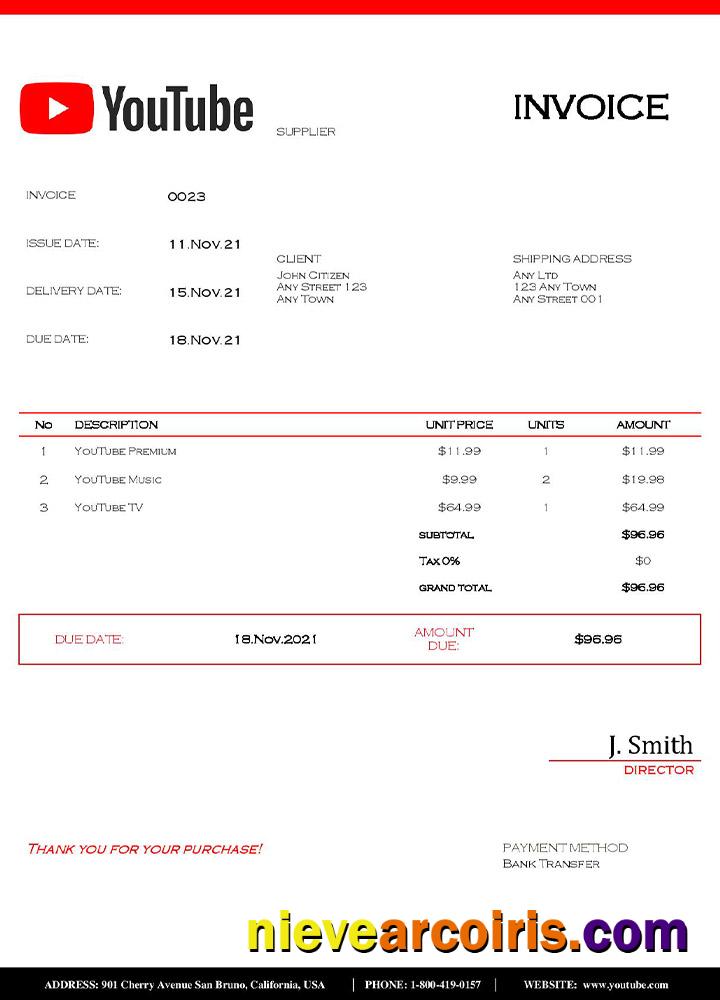 USA Youtube invoice